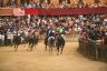 Palio Straordinario: la fotogallery della corsa